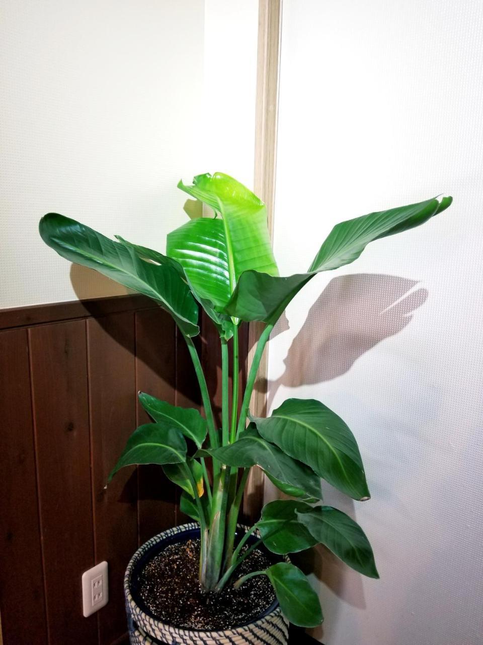 Kyoto Hostel Ryokan Екстер'єр фото